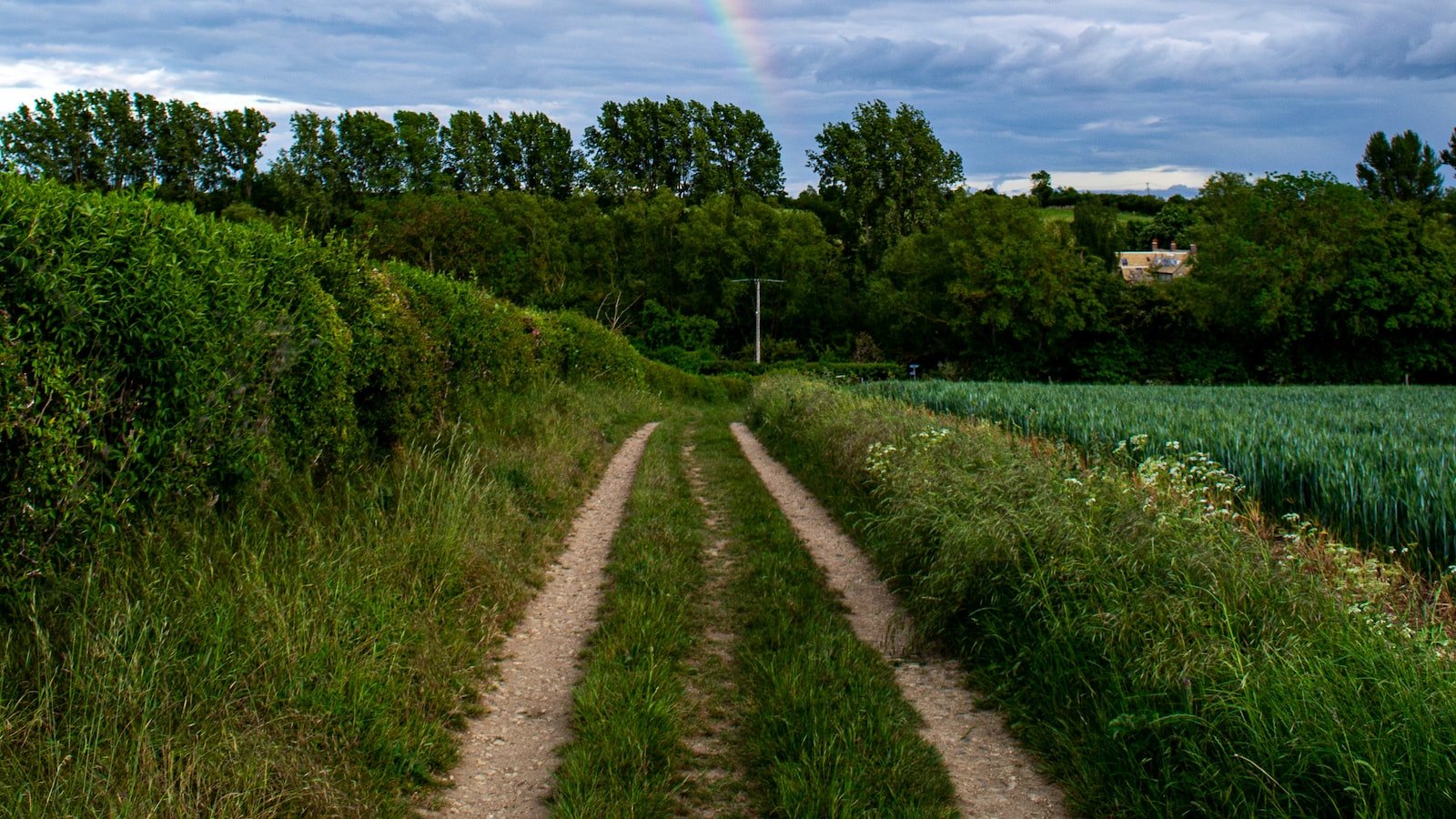 Unleashing the Potency ‌of the Rainbow:‌ Why Amplifying Gay ​Voices in ‍News & Culture Matters